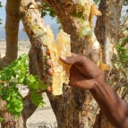 入坑芳疗坑2年了，来谈谈感想