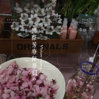 又摘桃花换酒钱-芳疗师手作.桃花浸泡油