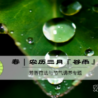 『视频』[芳疗师文又]芳香疗法与节气调养-农历三月 谷雨