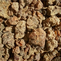没药精油 Commiphora molmol 力挽狂澜，杻转不可收拾的局面