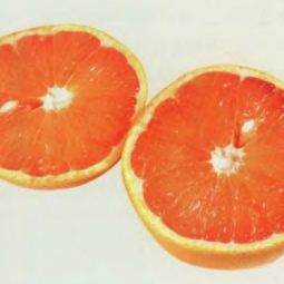 葡萄柚精油 Citrus paradisii 激发自尊，增加幽默感