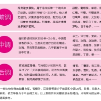 好用又好闻的精油精华油调配秘诀（文内以肩膀僵硬酸痛为例）