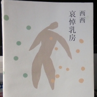 推荐一本书——《哀悼乳房》