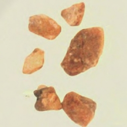 安息香精油 Styrax benzoe 真诚的关注，温暖的问候（图）